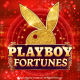 playboy fortunes